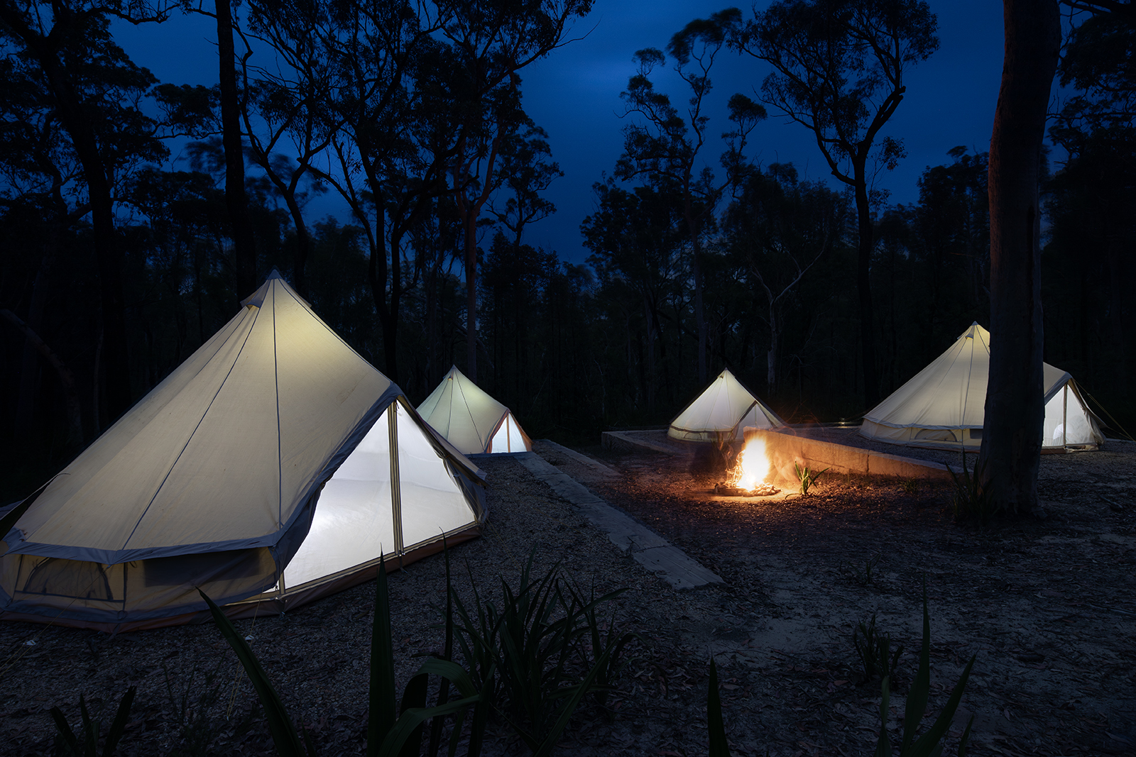 Bara Barange Campsite-McPherson State Forest, NSW