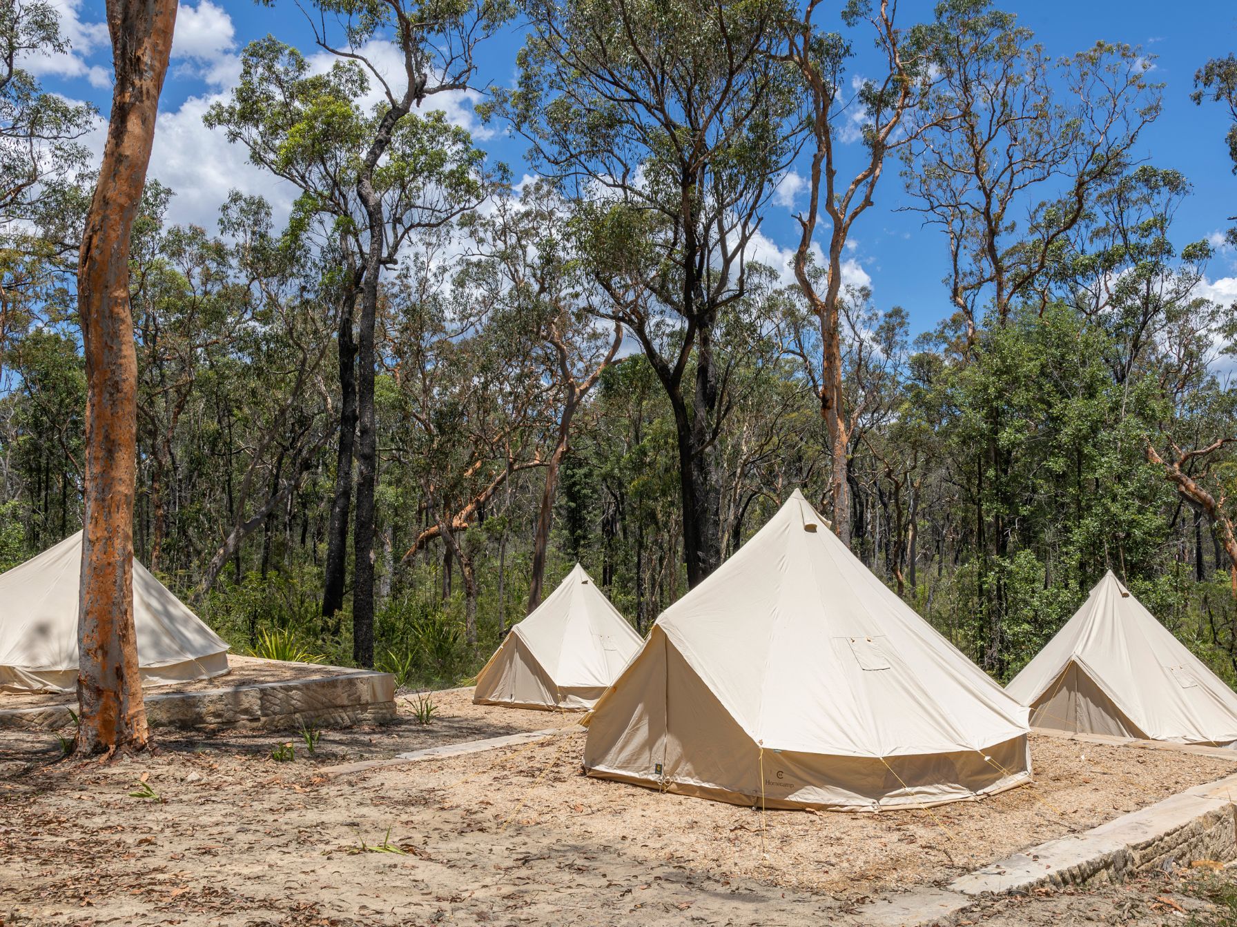 Raspberry-Fields-Tents-2