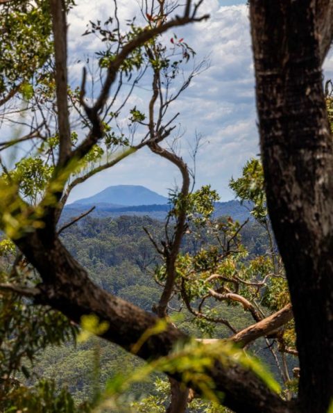 Cultural Experiences | Raspberry Fields | Central Coast